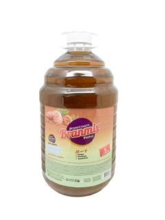DESINF.PINHO BRANMIX 5L